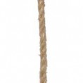 12 mm.